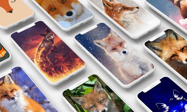 Лиса Обои для Android — скриншот 1