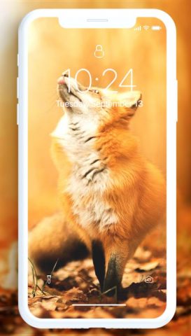 Лиса Обои для Android — скриншот 2