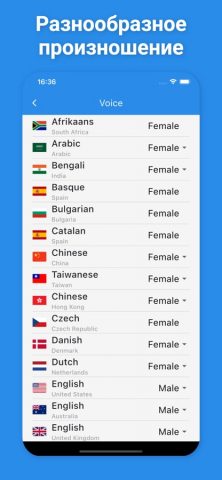 Литовский переводчик для iOS — скриншот 5