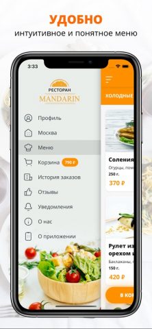 Мандарин | Москва для iOS — скриншот 2