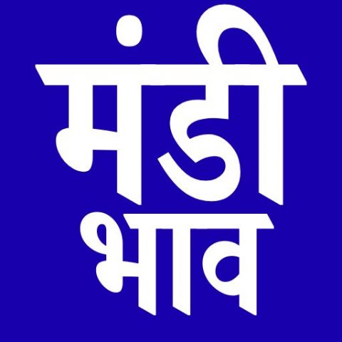 Mandi Bhav — मंडी भाव для Android — скриншот 1