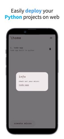 Micro — run python on web для iOS — скриншот 1