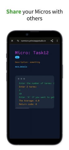 Micro — run python on web для iOS — скриншот 3