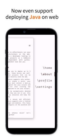 Micro — run python on web для iOS — скриншот 4