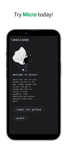 Micro — run python on web для iOS — скриншот 5
