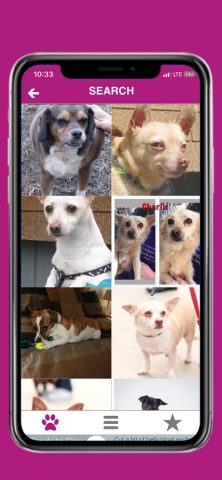 Pets — Find Yours для iOS — скриншот 1