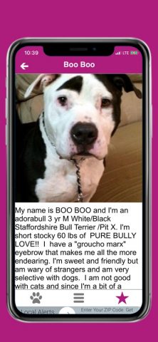 Pets — Find Yours для iOS — скриншот 2