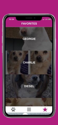 Pets — Find Yours для iOS — скриншот 3