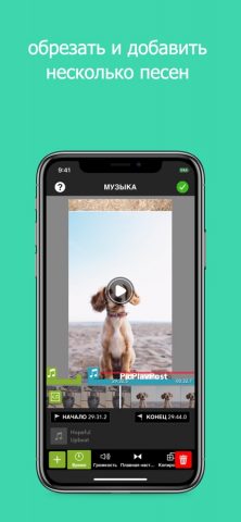PicPlayPost: Video Editor для iOS — скриншот 2
