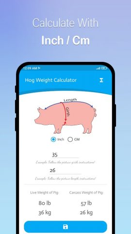 Pig Weight Calculator для Android — скриншот 2