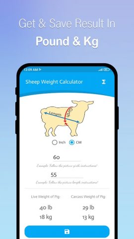 Pig Weight Calculator для Android — скриншот 3
