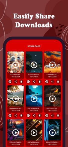 Pinterest Video Downloader для iOS — скриншот 4