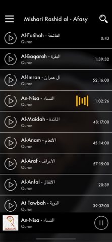 Quran MP3 by Mishari Rashid для iOS — скриншот 1