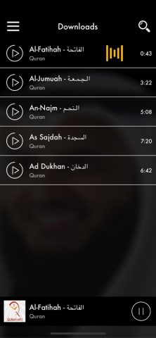 Quran MP3 by Mishari Rashid для iOS — скриншот 4