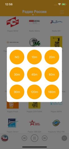Радио России FM (Russia Radio) для iOS — скриншот 4