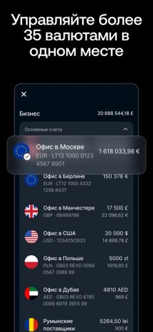Revolut Business для iOS — скриншот 3