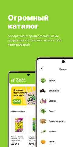 Семена Алтая для Android — скриншот 3