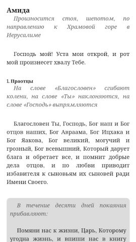 Сидур «Толдот Ицхак» для Android — скриншот 4