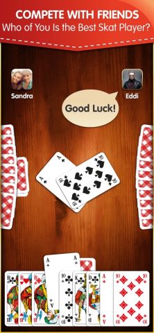 Skat Palace для iOS — скриншот 1