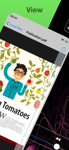 USB Disk SE, File Manager для iOS — скриншот 3