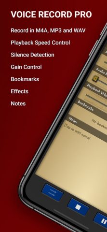 Voice Record Pro для iOS — скриншот 1