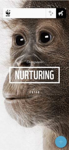 WWF Together для iOS — скриншот 2