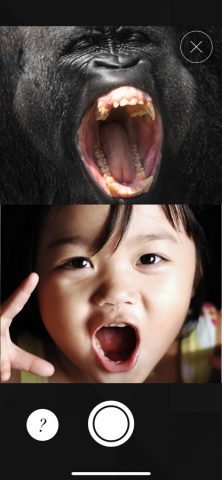 WWF Together для iOS — скриншот 3