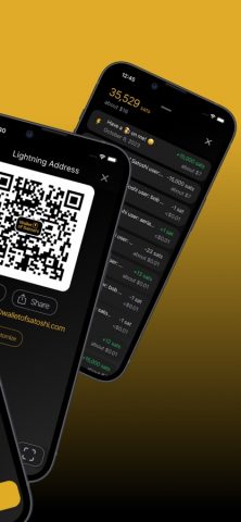 Wallet of Satoshi для iOS — скриншот 2