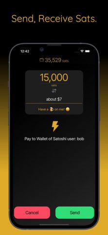 Wallet of Satoshi для iOS — скриншот 3