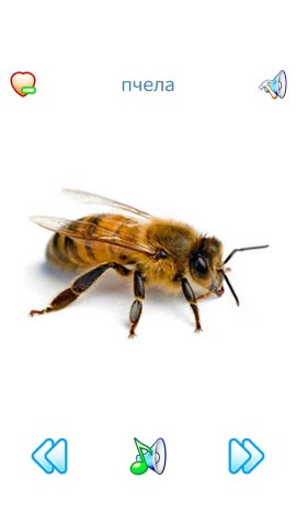 Звуки Фауны + mp3 для рингтона для Android — скриншот 3