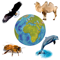 Звуки Фауны + mp3 для рингтона для Android