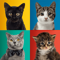 Звуки кошки для Android