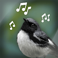 Звуки птиц: Bird Sounds для Android