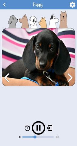 Звуки собак для Android — скриншот 2