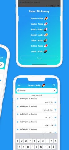 arabdict Dictionary для iOS — скриншот 2