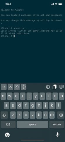 iSH Shell для iOS — скриншот 1