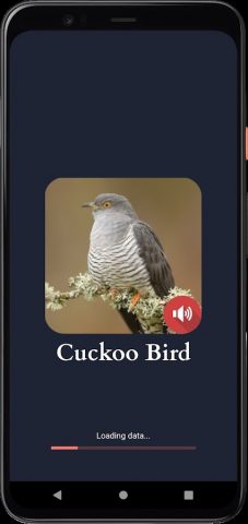 звуки кукушки для Android — скриншот 1