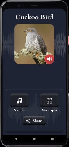 звуки кукушки для Android — скриншот 2