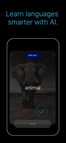 IANKI Flashcards для iOS — скриншот 2