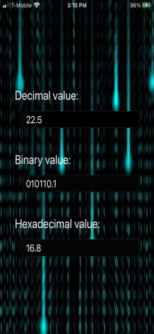 Decimal-Binary-Hex Converter для iOS — скриншот 2