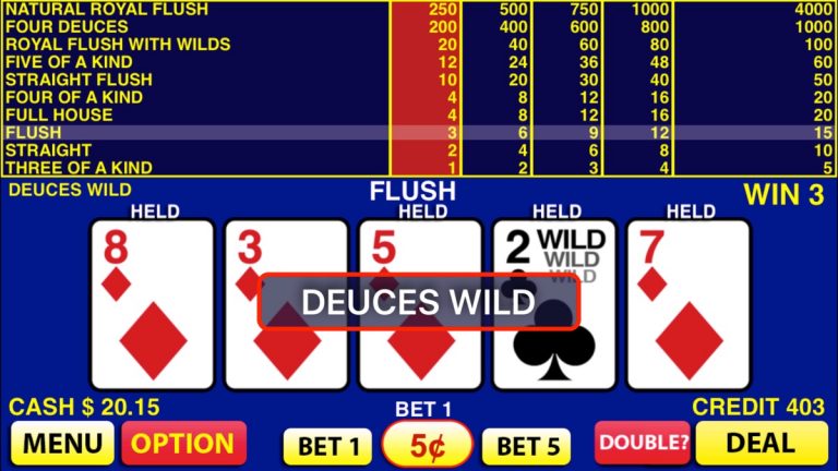 Deuces Wild Video Poker для iOS — скриншот 4
