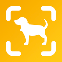 Dog Scan — Breed Identifier для iOS