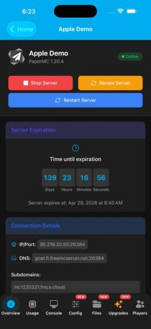 FreeMcServer для iOS — скриншот 3