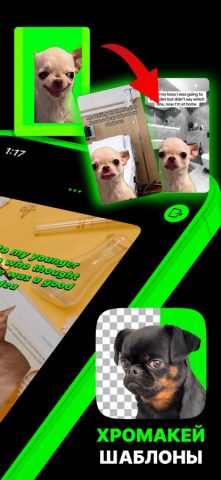 Green Screen Memes Maker — скриншот 2