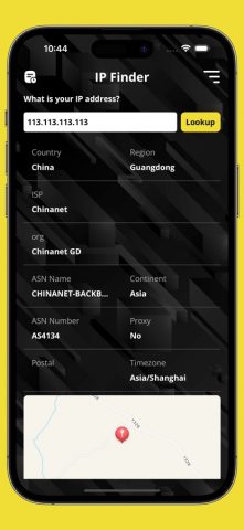 IP Finder — What is my IP для iOS — скриншот 1