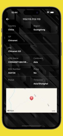 IP Finder — What is my IP для iOS — скриншот 3