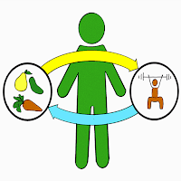 Калькулятор калорий для Android