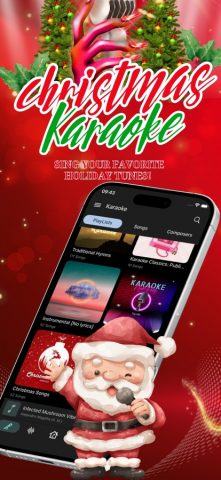 Karaoke Offline: Music Player для iOS — скриншот 2