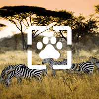 Картинки на Телефон Животные для Android