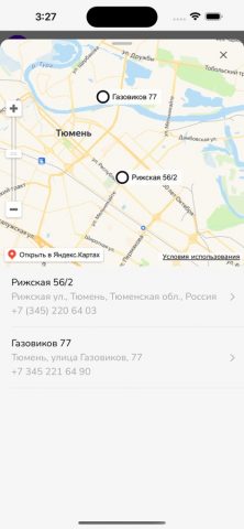 Кот и Пес — скриншот 5